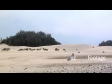 4 Wheelers at Sand Dunes 2001